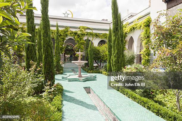 grand mosque of paris - große moschee stock-fotos und bilder