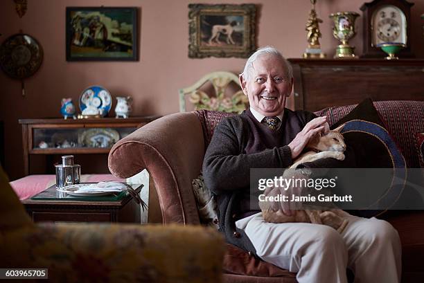 a portrait of a retired antique dealer and his cat - alleen één seniore man stockfoto's en -beelden