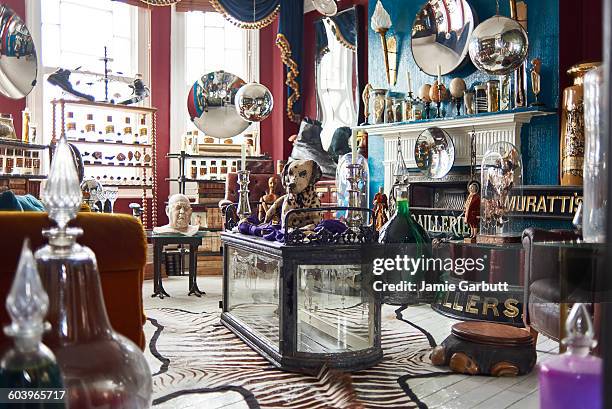 a view of an antiques dealers living room - jagdtrophäe stock-fotos und bilder