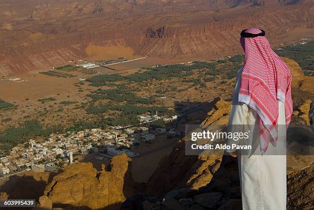 saudi arabia, al ula - saudiarabien bildbanksfoton och bilder