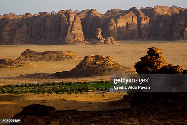 saudi arabia, al ula, desert near the oasis - al ula saudi arabia stockfoto's en -beelden