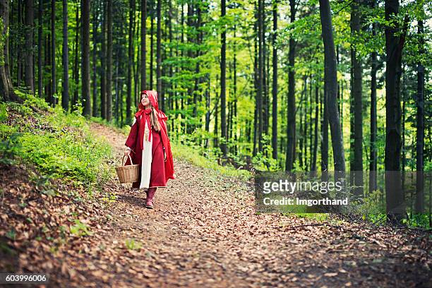 little red riding hood caminhada através da floresta - chapeuzinho vermelho criatura mítica - fotografias e filmes do acervo