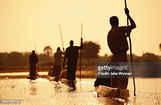 men punting boats along river - okavango delta stock pictures, royalty-free photos & images