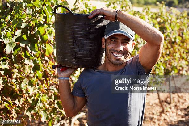 happy farmer carrying container in vineyard - agriculture happy stockfoto's en -beelden