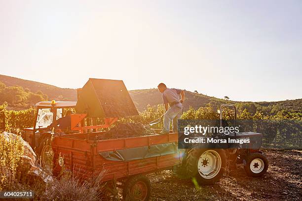 farmers working at vineyard - agricultural equipment stockfoto's en -beelden