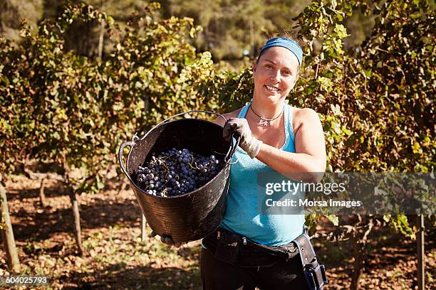 confident female farmer showing grapes in bucket - hot spanish women ストックフォトと画像