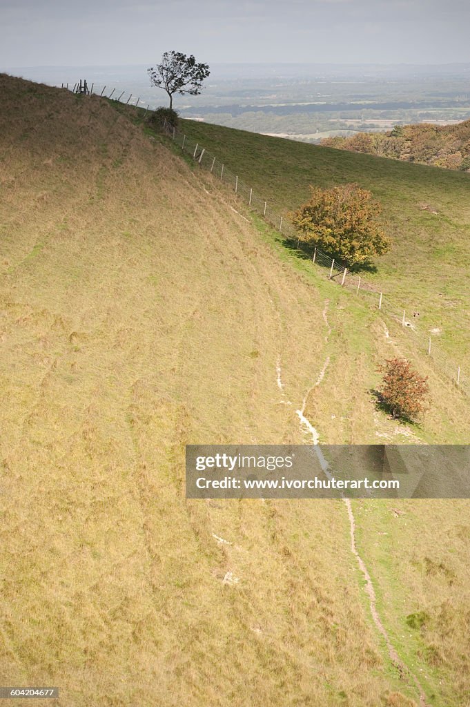 THE SOUTH DOWNS NATIONAL PARK