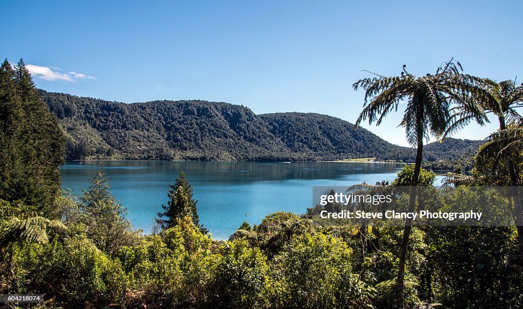 Lake Tikitapu (Blue Lake)