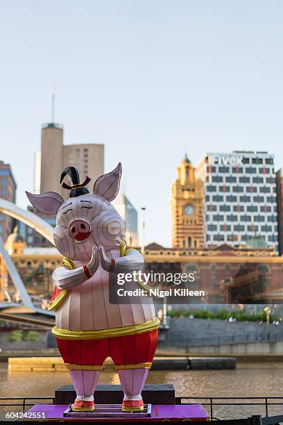 chinese new year - melbourne festival stock-fotos und bilder