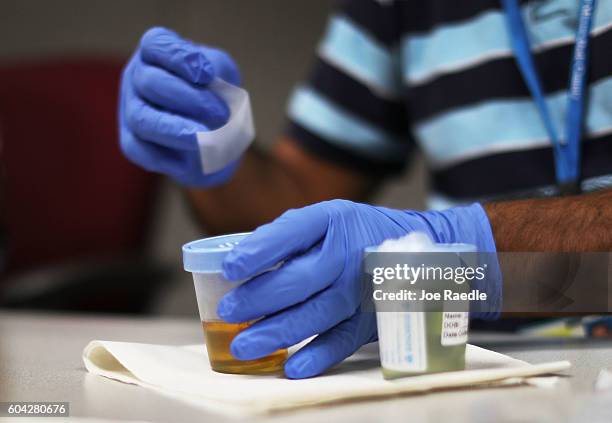 Florida Department of Health worker packages up a urine sample to be tested for the Zika virus as they provide people with a free Zika virus test at...