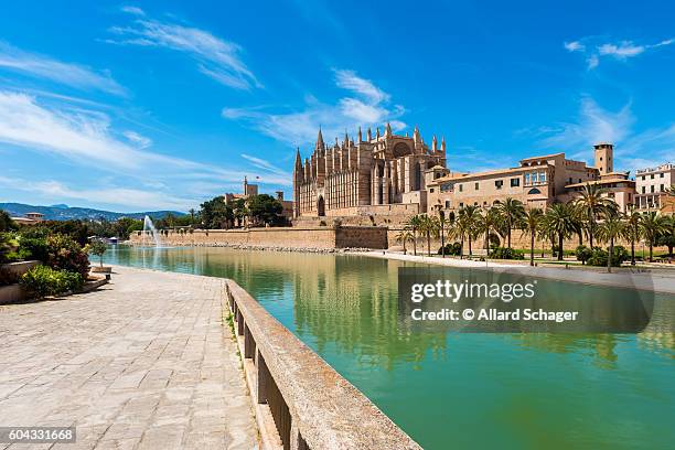 cathedral of palma de mallorca, spain - palma mallorca stock pictures, royalty-free photos & images