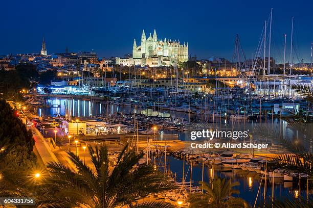 palma de mallorca at night - palma maiorca stockfoto's en -beelden