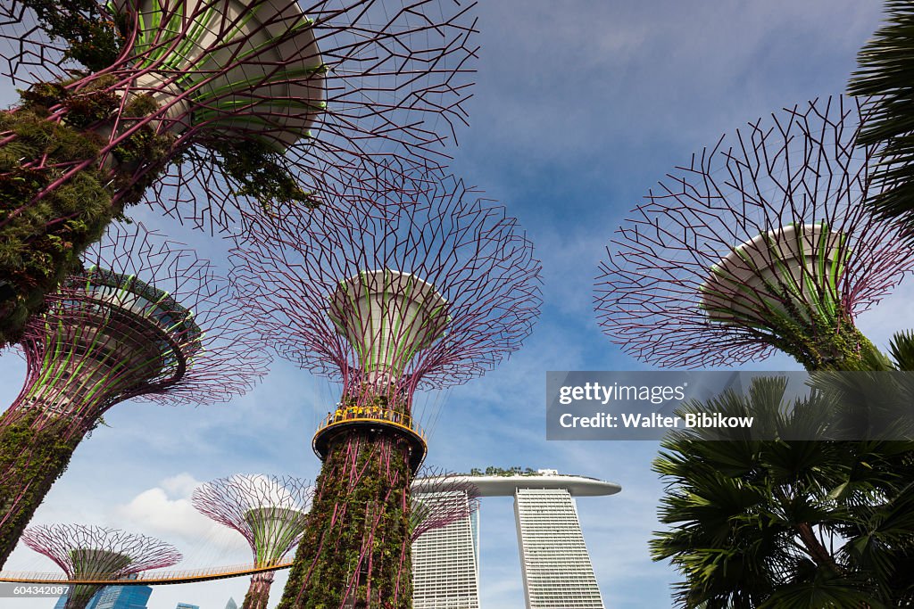 Singapore, Exterior