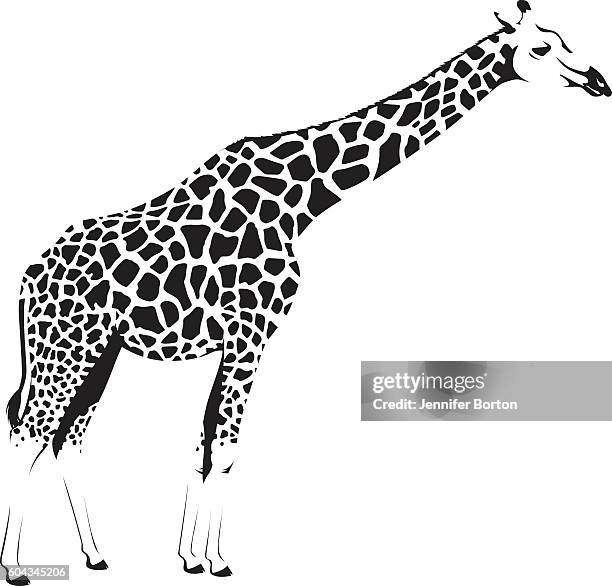 stockillustraties, clipart, cartoons en iconen met wild african giraffe - animal neck