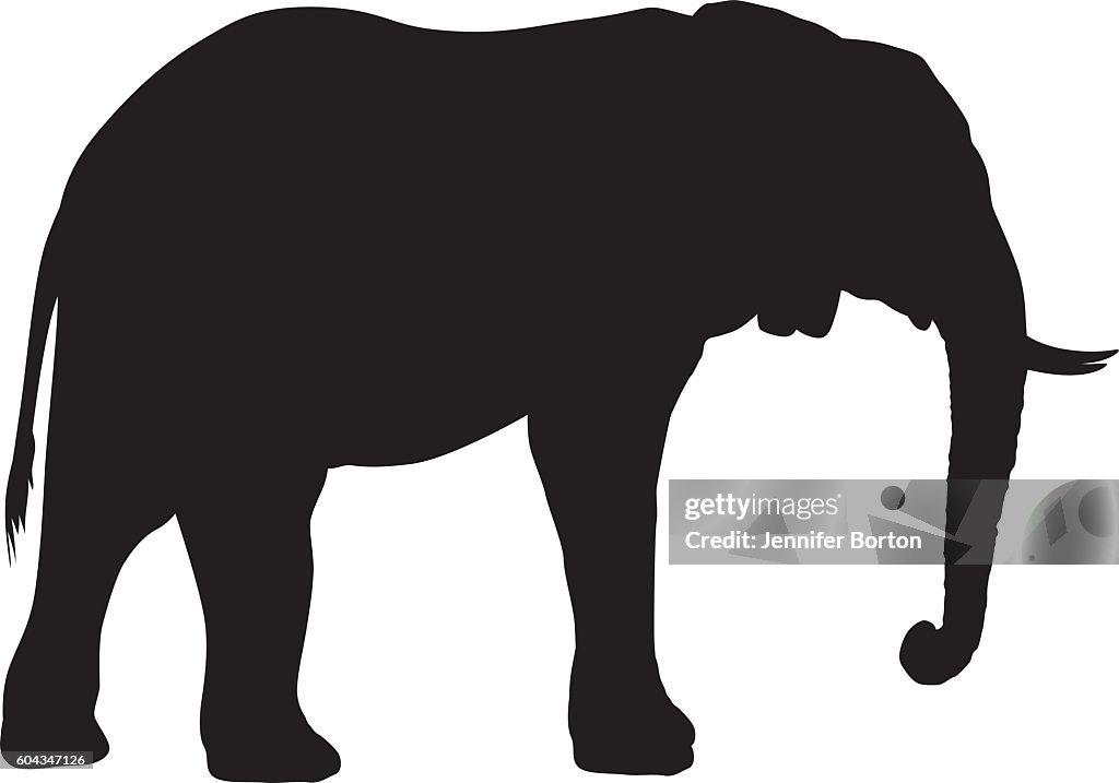 Silueta de elefante africano salvaje