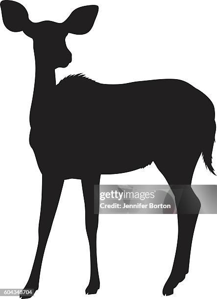 wild african nyala deer silhouette - doe foot stock illustrations