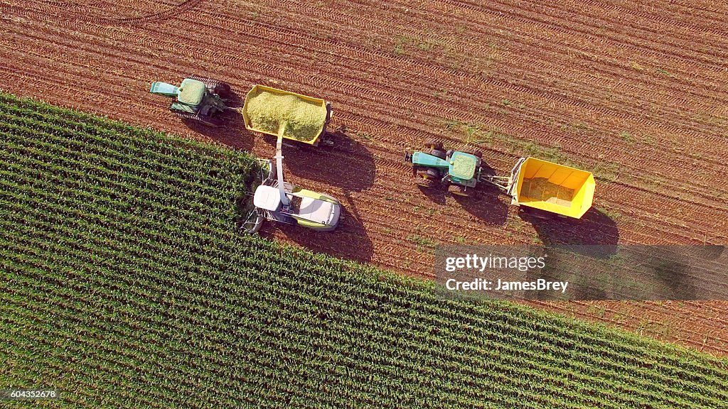 Farm machines harvesting corn for feed or ethanol