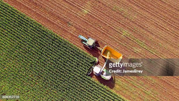 farm machines harvesting corn for feed or ethanol - looking above stockfoto's en -beelden