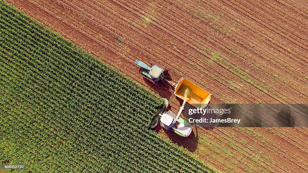 Farm machines harvesting corn for feed or ethanol