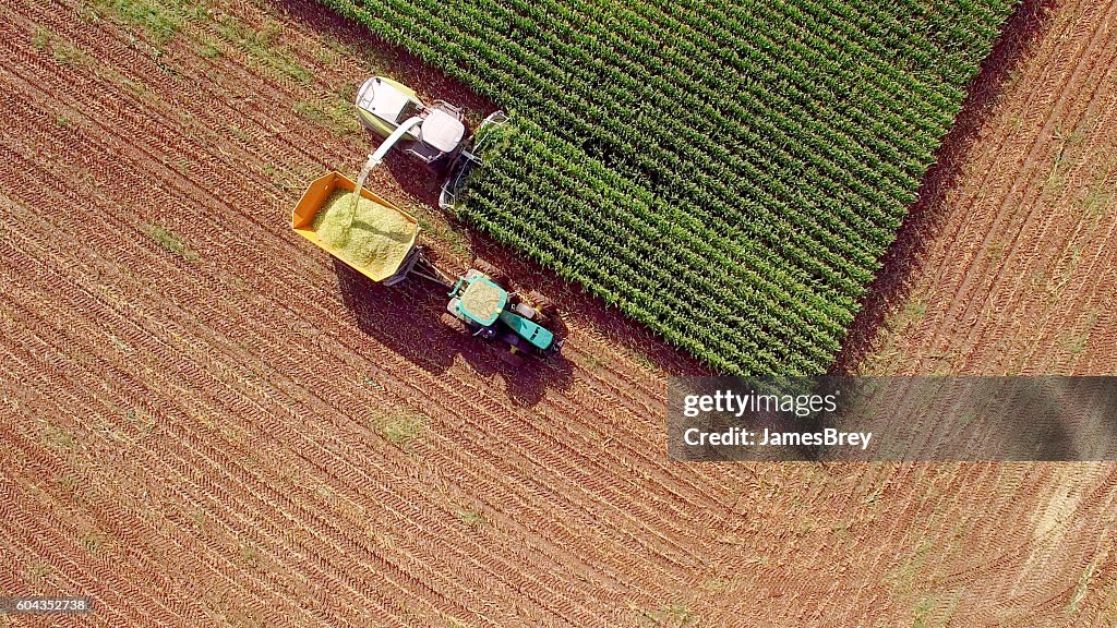 Farm machines harvesting corn for feed or ethanol