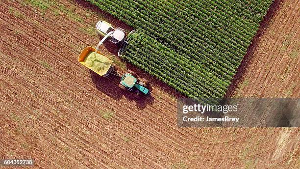 farm machines harvesting corn for feed or ethanol - drone farm stock pictures, royalty-free photos & images