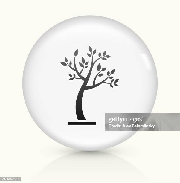 tree icon on white round vector button - tree shadow white background stock illustrations