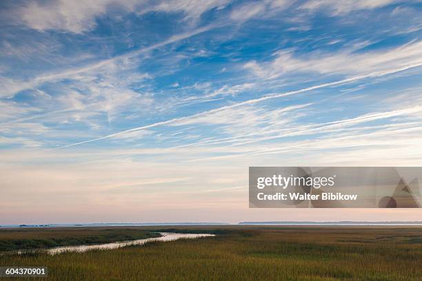 usa, georgia, exterior - georgia country stock pictures, royalty-free photos & images