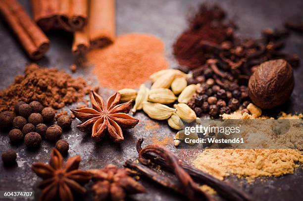 ingredients of gingerbread spice - spices stock pictures, royalty-free photos & images