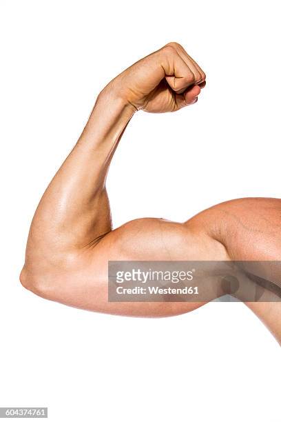 muscular man flexing his biceps in front of white background, close-up - atletico fotografías e imágenes de stock