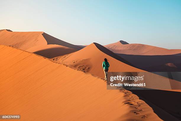 namibia, namib desert, sossusvlei, woman walking on dune 45 at sunrise - sossusvlei stock pictures, royalty-free photos & images