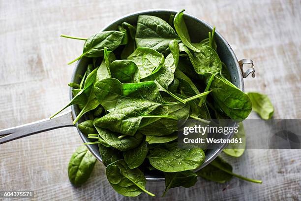 fresh spinach leaves in colander on wood - spinazie stockfoto's en -beelden