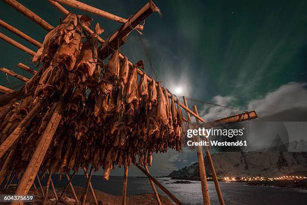 Fish Rack High Resolution 1,152 Fish Racks Stock Photos, High-Res Pictures, and Images - Getty Images