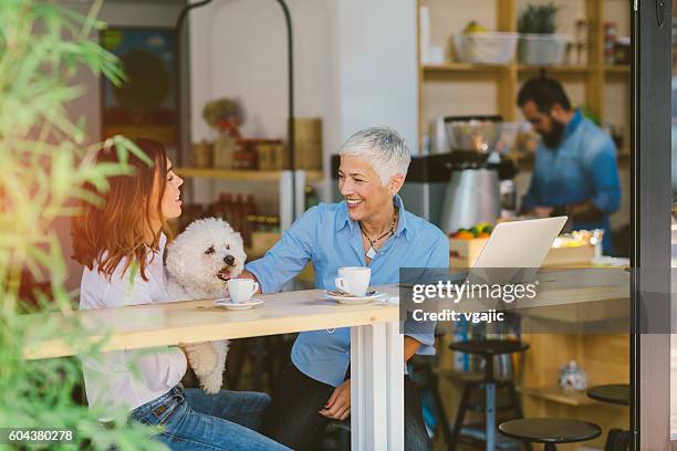mother and daughter in cafe with their dog - animal related occupation stock pictures, royalty-free photos & images