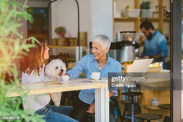 mother and daughter in cafe with their dog - animal related occupation 個照片及圖片檔