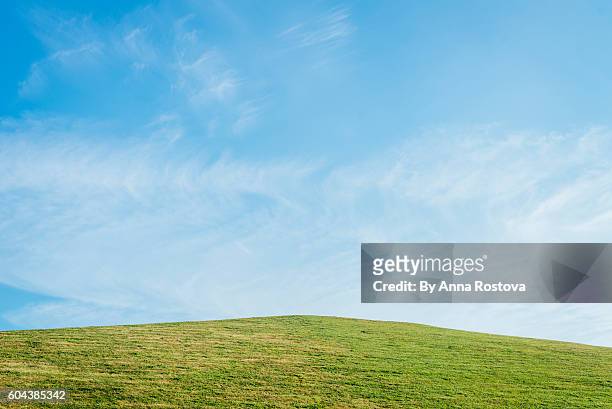 grassy hill against clear blue sky in summer - 草原 個照片及圖片檔