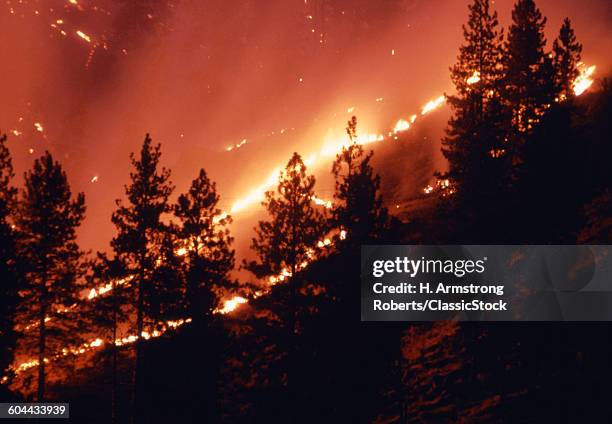 1960s FOREST FIRE 206 ACRES JULY 7, 1967 IN MT. HOOD NATIONAL FOREST OREGON USA