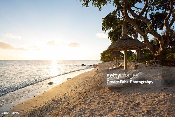 beach lies on mauritius - mauritius bildbanksfoton och bilder