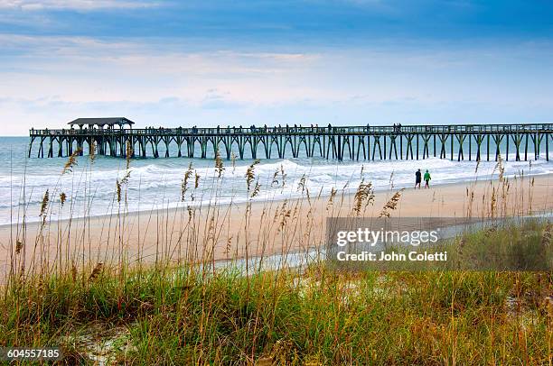 myrtle beach state park, south carolina - state park stock pictures, royalty-free photos & images