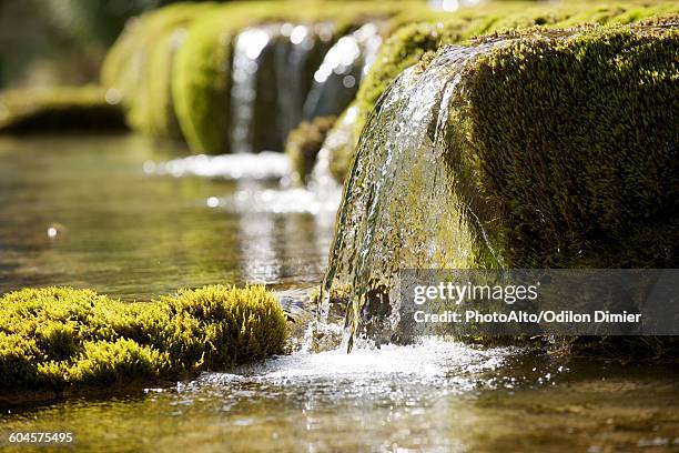 water flowing over moss covered rocks - riachuelo fotografías e imágenes de stock