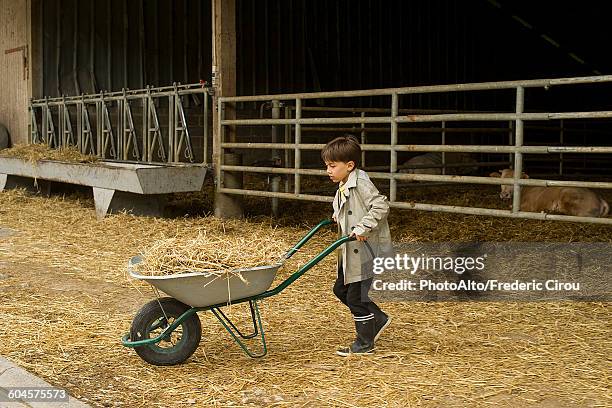 boy pusing wheelbarrow filled with straw on farm - pushing wheelbarrow stock pictures, royalty-free photos & images