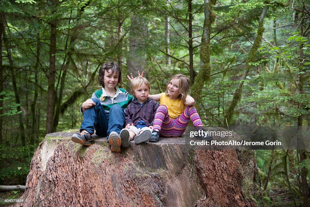 Children sitting together on large tree stump in forest