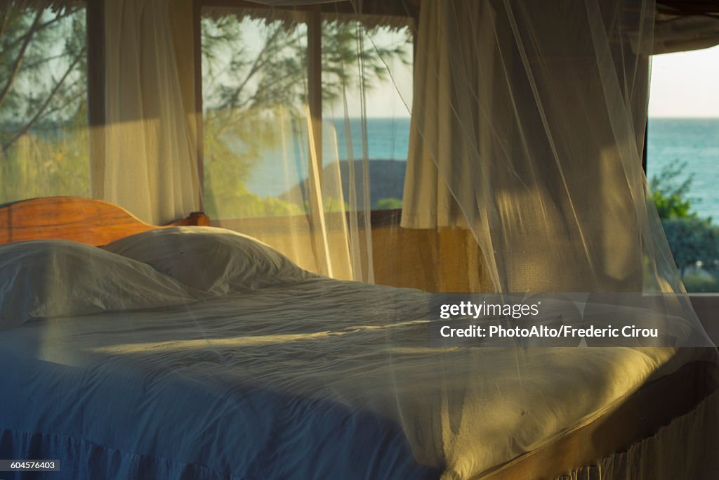 Bedding with mosquito netting