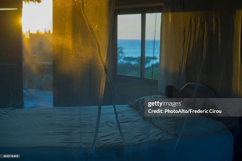 Bed with mosquito netting
