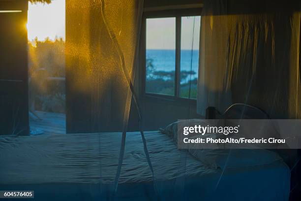 bed with mosquito netting - halvdager bildbanksfoton och bilder