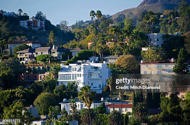 hollywood area - hollywood hills los angeles stock pictures, royalty-free photos & images