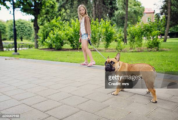 girl walking with a dog in the park - latvia girls stock pictures, royalty-free photos & images
