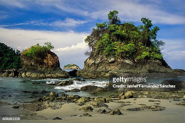 islands covered with trees on the beach of manuel antonio national park in costa rica. - puntarenas fotografías e imágenes de stock