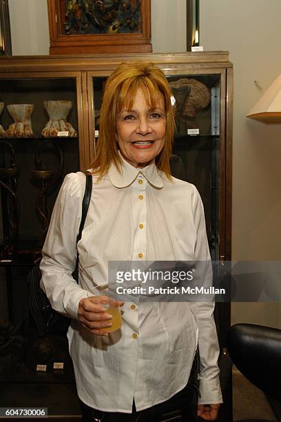 Janet Charlton attends Hip Hollywood Homes Book Launch at Blackman Cruz on September 21, 2006.