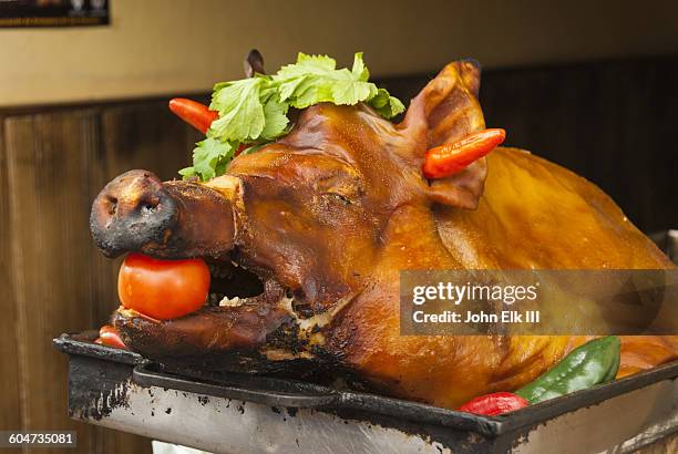 roasted pig head - roast pig stock pictures, royalty-free photos & images