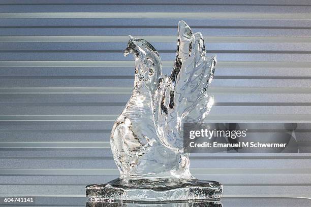 melting swan made of ice - ice sculpture stock-fotos und bilder